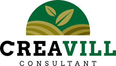 Creavill Consultant